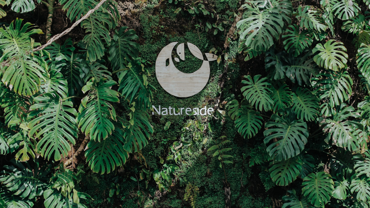 Natureside – Đắm mình vào thiên nhiên và ẩm thực 